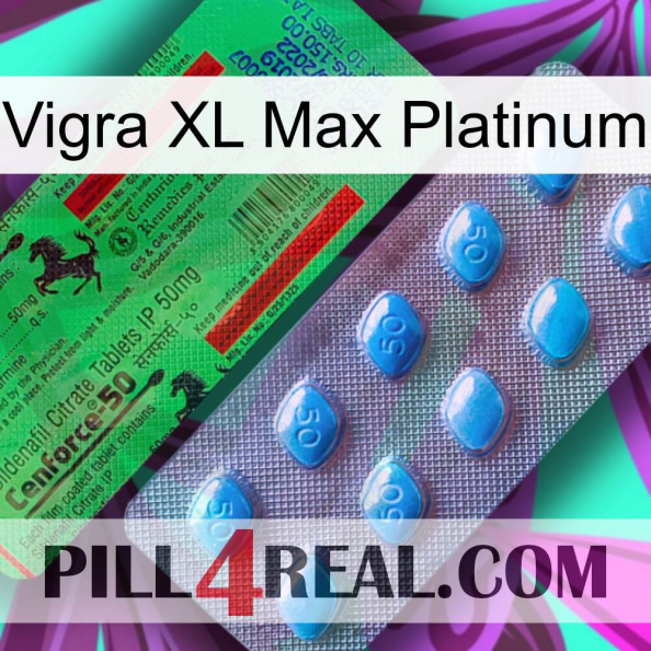 Vigra Xl Max Platinum new03.jpg